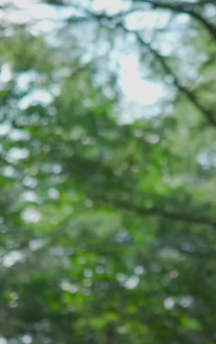 טעינת וידאו: 